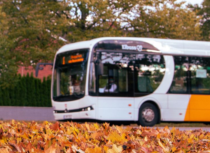 Fronten på en buss med gula löv i förgrunden.