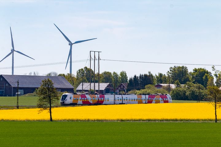 Pendeltåg som kör utmed ett gult fält