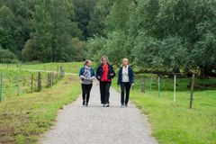 Tre personer som har ett gåmöte på en av Örebro universitets mötesslingor i naturen.