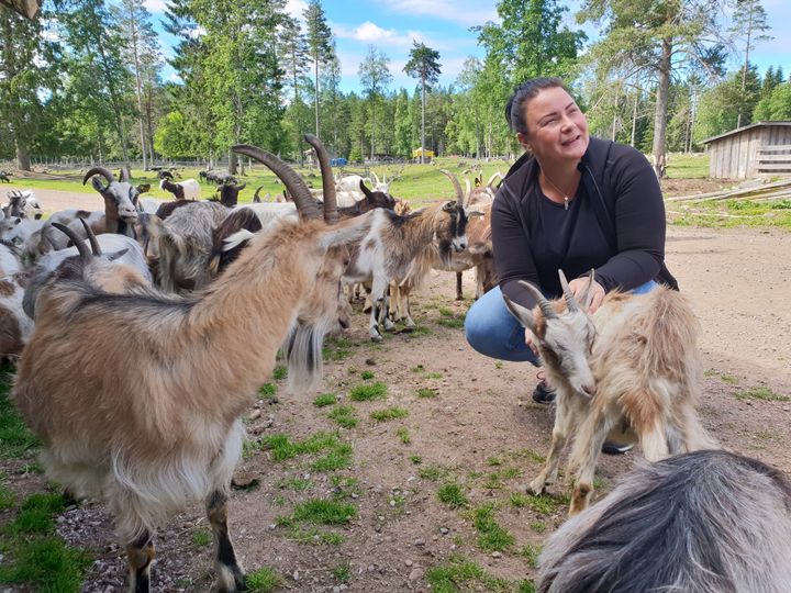 Jennie Tiderman-Österberg tillsammans med djur vid en fäbod.