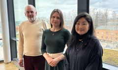 Tre forskare framför fönster