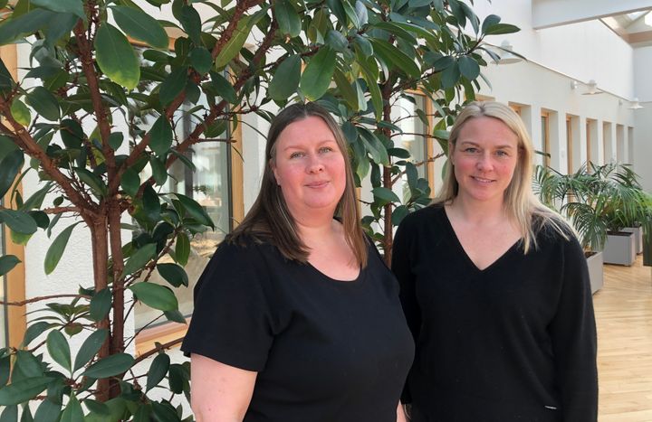 Lisa Sandelin Anna Petersén Örebro universitet