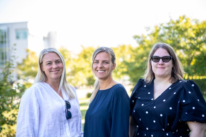 Anna Petersén, Martina Vikander och Sara Thunberg har gått igenom 23 europeiska studier. Resultaten visar att insatser ofta riktas mot de ungas beteende, medan förövarna får betydligt mindre uppmärksamhet.