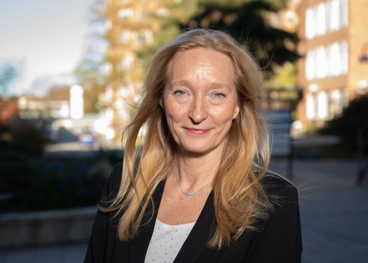 Birgitta Henriques Normark Birgitta Henriques Normark, professor at the Department of Microbiology, Tumor and Cell Biology, Karolinska Institutet.