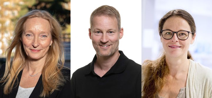 Henriques Normark, Almqvist, Schneider Från vänster Birgitta Henriques Normark vid Karolinska Institutet (foto: Stefan Zimmerman), Fredrik Almqvist vid Umeå universitet (foto: Andreas Gradin) och Tanja Schneider vid Bonns universitet (foto: Bonns universitet)