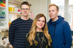 Fredrik Lanner, Sophie Petropoulos och Rickard Sandberg  Fredrik Lanner, Sophie Petropoulos och Rickard Sandberg, forskare vid Karolinska Institutet. Foto: Ulf Sirborn.