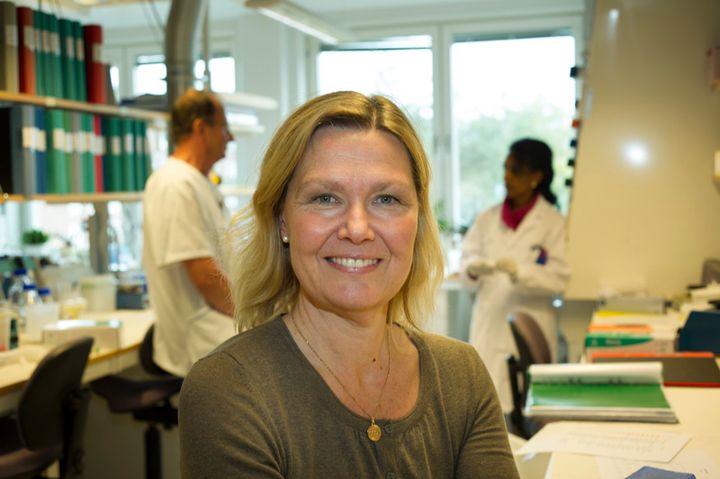 Anna Wedell Anna Wedell, professor. Foto: Stefan Zimmerman.