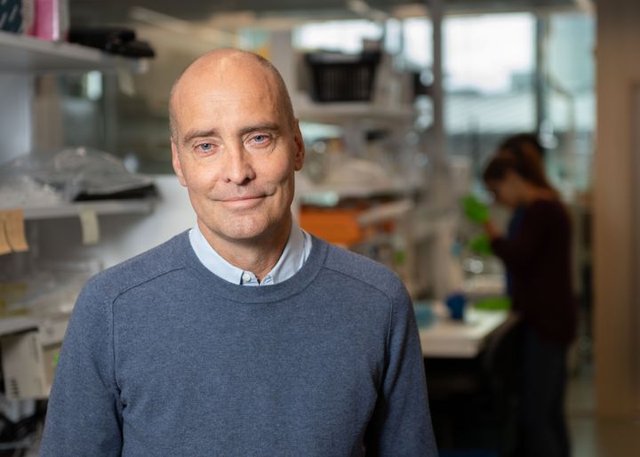 Jonas Frisén, professor vid institutionen för cell- och molekylärbiologi, Karolinska Institutet.