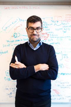 Gonçalo Castelo-Branco