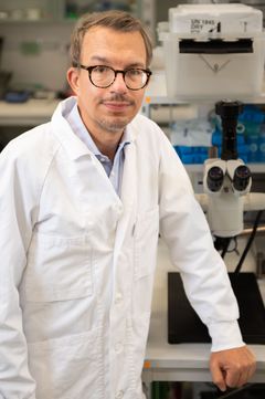 Mattias Carlström