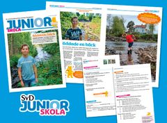 Junior Skola är SvD Junior i ny version, anpassad för undervisning i årskurs 3-6.