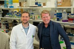 Maurice Michel & Thomas Helleday Maurice Michel (left) and Thomas Helleday (right), researchers at the Department of Oncology-Pathology, Karolinska Institutet.