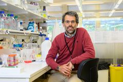 Nicola Crosetto Nicola Crosetto, senior researcher at the Department of Medical Biochemistry and Biophysics, Karolinska Institutet.