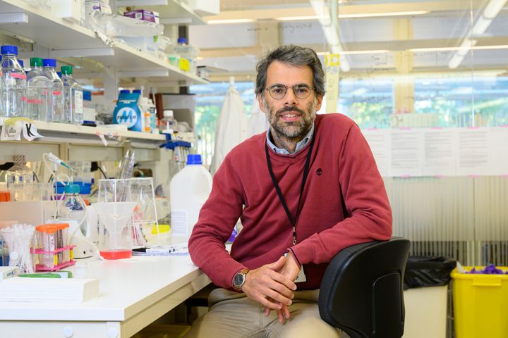 Nicola Crosetto Nicola Crosetto, senior researcher at the Department of Medical Biochemistry and Biophysics, Karolinska Institutet.