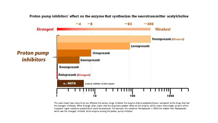 Effect of proton pump inhibitors on the enzyme choline acetyletransferase