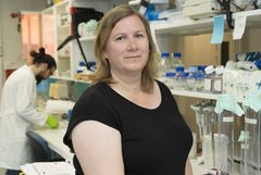 Maria Eriksson, professor at the Department of Medicine in Huddinge, Karolinska Institutet.