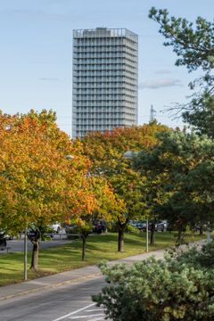 Ett högt bostadshus i Stockholm omgiven av träd i höstfärger.