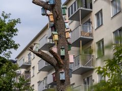 Träd dekorerat med färgglada fågelholkar framför flerbostadshus.