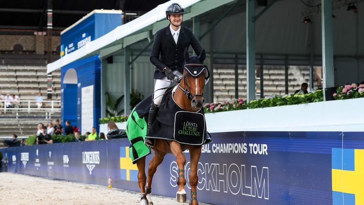 Carl-Walter Fox och Eka First Navy Jack vann en av unghästklasserna under LGCT Stockholm 2022.