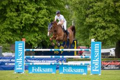 Marcus Westergren, dubbelt felfri med Call Girl 5 i semifinalen av Folksam Elitallsvenska.