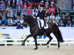 Edward Gal kommer till Gothenburg Horse Show 2014 för att rida Reem Acra FEI World Cup, världscupen i dressyr.