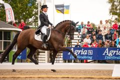 Ridsportens första Jubileumsstipendium på 100 000 kronor tilldelas dressyrryttaren Paulinda Friberg från Flyinge.