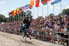 HSBC FEI European Eventing Championships, EM i fälttävlan, arrangeras i år i Sverige och tävlingsplats är det vackra Ribersborg i Malmö. Malmö är en rutinerad arrangör av fälttävlan efter att i många år arrangerat fälttävlans världscup under Malmö City Horse Show. 2012 vann Ingrid Klimke, Tyskland (bilden)