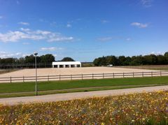 Förberedelserna på går för fullt på Ribersborg, Malmö, inför HSBC FEI European Eventing Championships, EM i fälttävlan. Uppvärmningsbanan, färjan i bakgrunden visar hur näa vattnet banan ligger.
Preparations for HSBC FEI European Eventing Championships at Ribersborg, Malmö Sweden, is under way. Warm up area. The ferry in the background gives an inkling how close to the water the showground is.