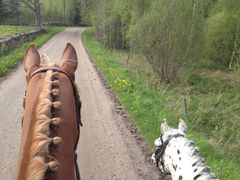 Svenska Ridsportförbundet firar 100 år med bland annat en 100-dagars långritt genom Sverige. Det är en manifestation för en pigg 100-åring och ridsportens utveckling i Sverige. Jubileumsritten har nått Västergötland