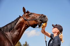 Jenny Nilsson tillsammans med mästerskapshästen Golden Midnight. Foto: FEI