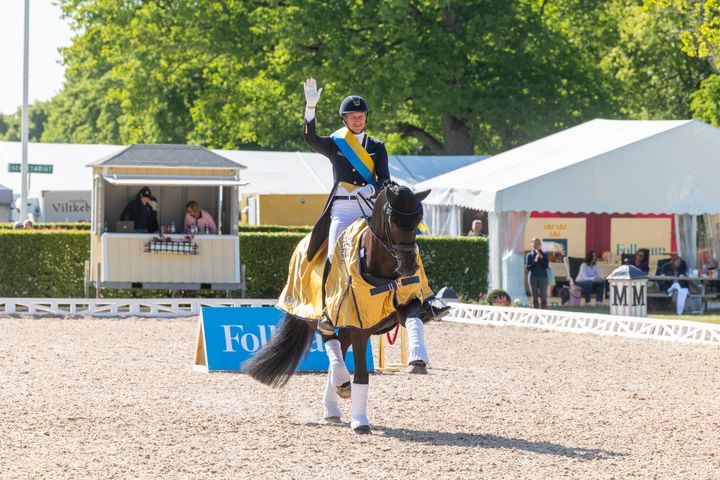 Årets upplaga av Strömsholmsdagarna bjuder på mästerskapsyra när Folksam SM arrangeras i dressyr, paradressyr och fälttävlan för ungdomar. Patrik Kittel närmar sig legendaren Ulla Håkansons rekord på tolv SM-guld i dressyr. Han har för närvarande elva stycken varav sju i rad.
