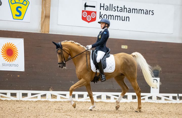 I veckan avgörs ponny-EM i hoppning och fälttävlan, samt EM i dressyr för ponny, children och junior i franska Le Mans. Förra året tog den svenska ponnytruppen i dressyr den första EM-medaljen på nära 30 år. I bronslaget ingick bland andra Josefine Lindstedt/Falco som nu är tillbaka på mästerskapsbanan även i år.