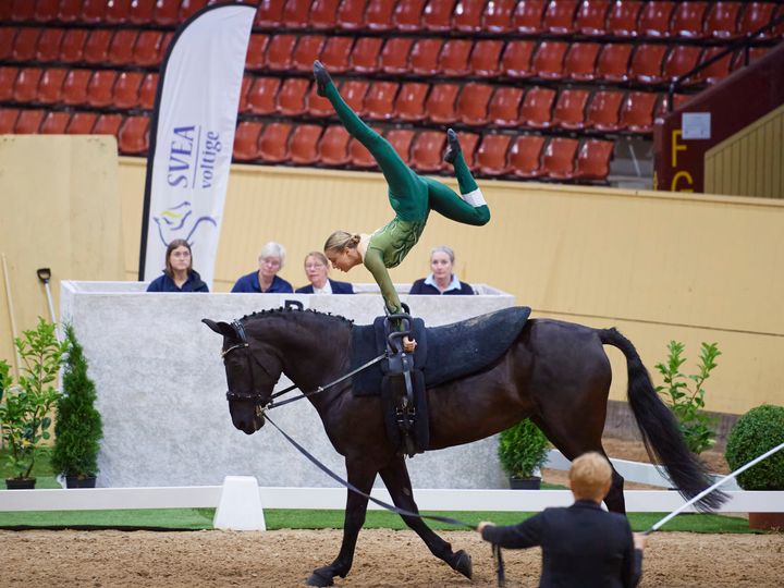 19-åriga Nora Sandberg Müller ingår i voltigens spetstrupp för young vaulters och kommer senast från en fin prestation under VM i Stadl Paura, Österrike. Nu är hon en av de sex nya stipendiaterna som utsetts av Stiftelsen Göteborg Horse Show och Svenska Ridsportförbundet.