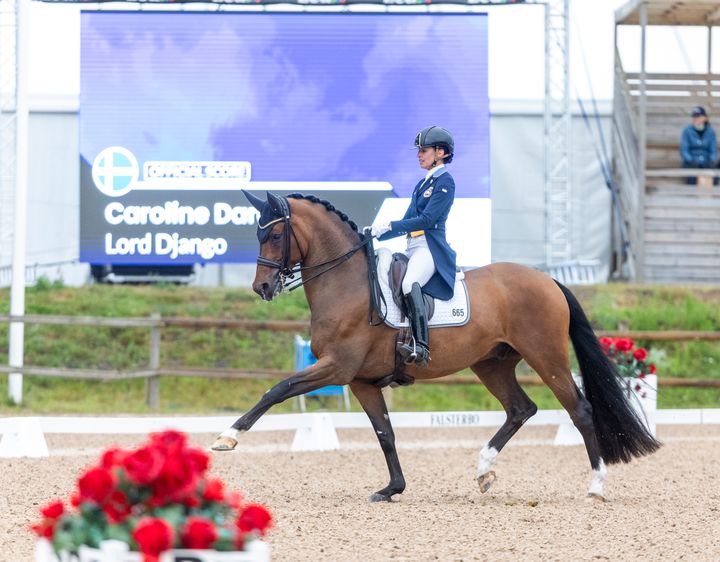 Caroline Darourt och Lord Django är på plats vid Tallinn International Horse Show för att göra upp i de internationella Grand Prix-klasserna. På hoppsidan representeras Sverige av U25-ekipaget Evelina Dynér och Sky Blue.