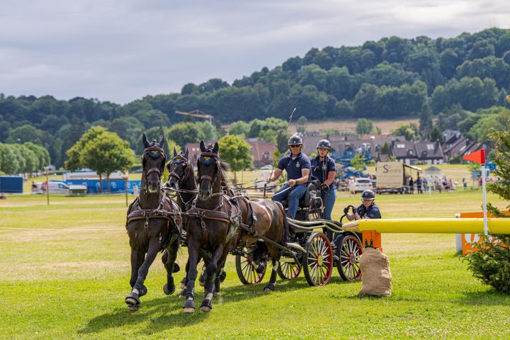 Judson, Fasco, Kaptain och Kermit fungerar som en enande kraft. Nu har det stabila fyrspannet chansen att kamma hem priset som Årets häst på Ryttargalan.