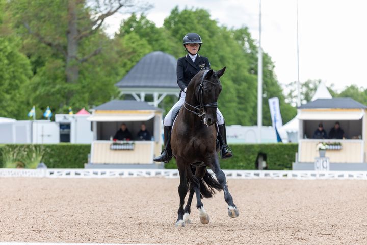 Det är en mästerskapstät period för ridsport! Junioren Wilma Bornhager och Rosenstolz är ett av fyra ekipage som representerar Sverige vid ungdoms-EM i dressyr kommande helg.