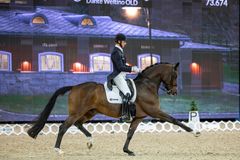 Patrik Kittel och Touchdown i Lövsta Top 10 Dressage 2022.