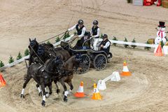 Boyd Exell (AUS) vid Sweden International Horse Show 2022.