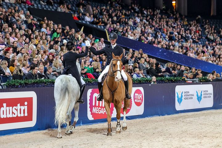 High five - nu blir det billigare för ridklubbar att uppleva Sweden International Horse Show på plats.