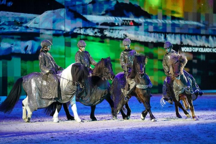 Isalndshästarna deltar både i världscup och i show under Sweden International Horse Show.