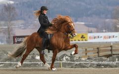 Gabriell Severinsen kommer till Friends Arena och Sweden International Horse Show 2018.