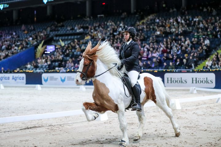 Jamila Berg och Toppur frá Audsholtshjáleigu representerar svensk flagg i World Cup tölt under Sweden International Horse Show på Strawberry Arena.