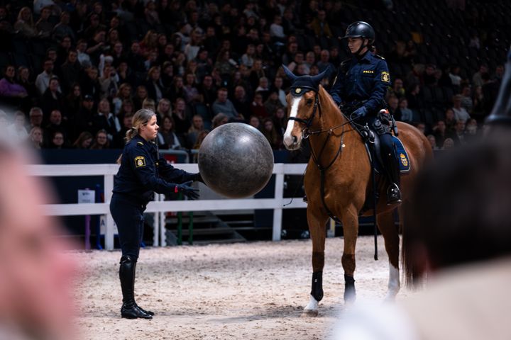 Mässarenan bjuder på ett fullspäckat program under Sweden International Horse Show med flera clinics och tävlingar! På fredagen och lördagen visar bland annat Polisrytteriet deras arbete med polishästarna.