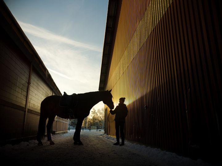 Distriktsveterinärerna kommer ge sina medarbetare tillgång till Suicide Zeros självmordsförebyggande utbildning. Foto: Suicide Zero