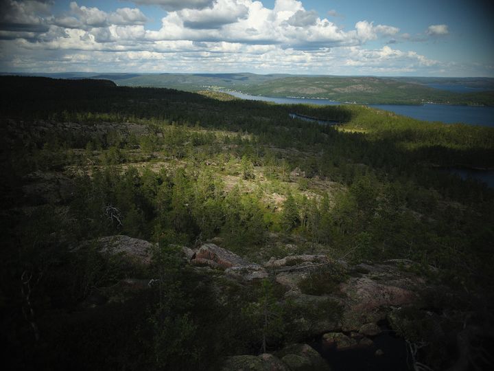 I Sverige dör varje år runt 1 500 människor i suicid. Under tisdagen publicerades den senaste statistiken. Foto: Suicide Zero