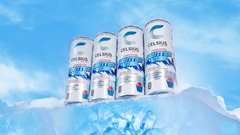 Celsius Winter Vibe