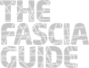 Fascia