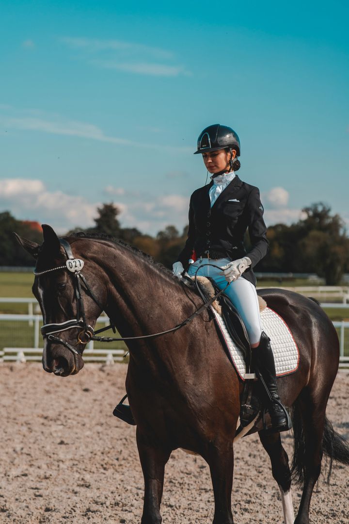 Dressage rider sitting on a horse in an outdoor riding arena.