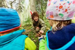 Skogsmulle i verksamhet