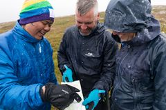 Vandring Friluftsfrämjandet